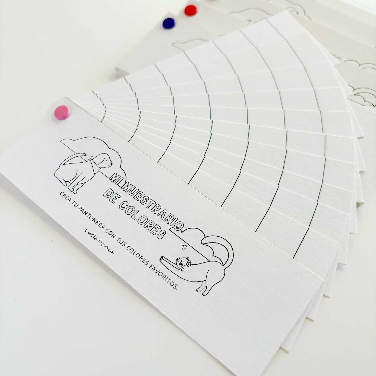 Muestrario de colores - Crea tu propia pantonera