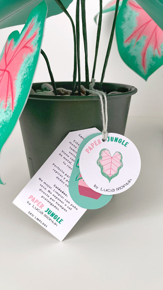 Paper Jungle - Caladium