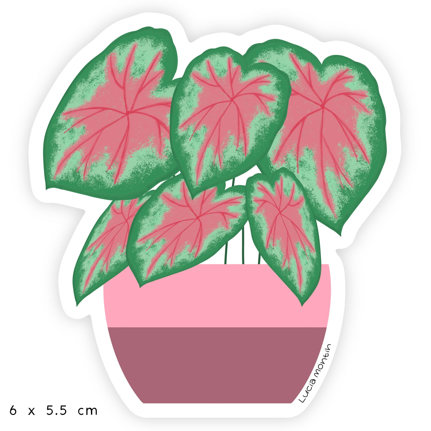 Sticker de Vinilo - Caladium