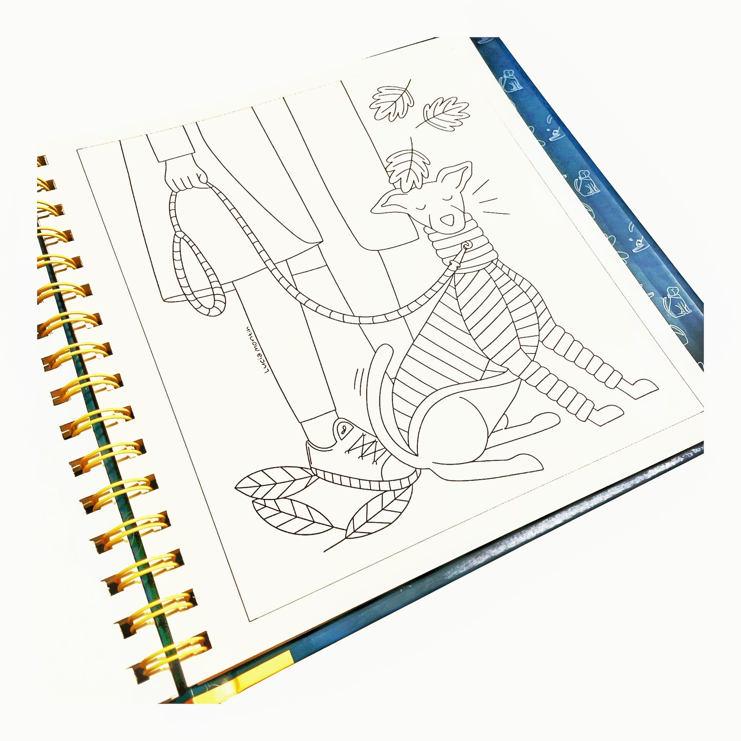 Mindful Friends – un viaje de calma con amigos de alma 🐾