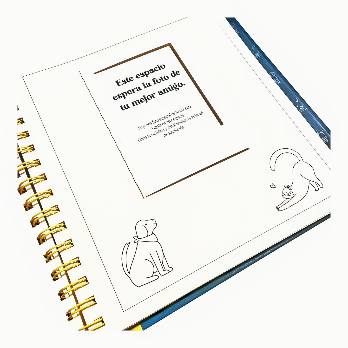 Mindful Friends – un viaje de calma con amigos de alma 🐾