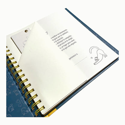 Mindful Friends – un viaje de calma con amigos de alma 🐾