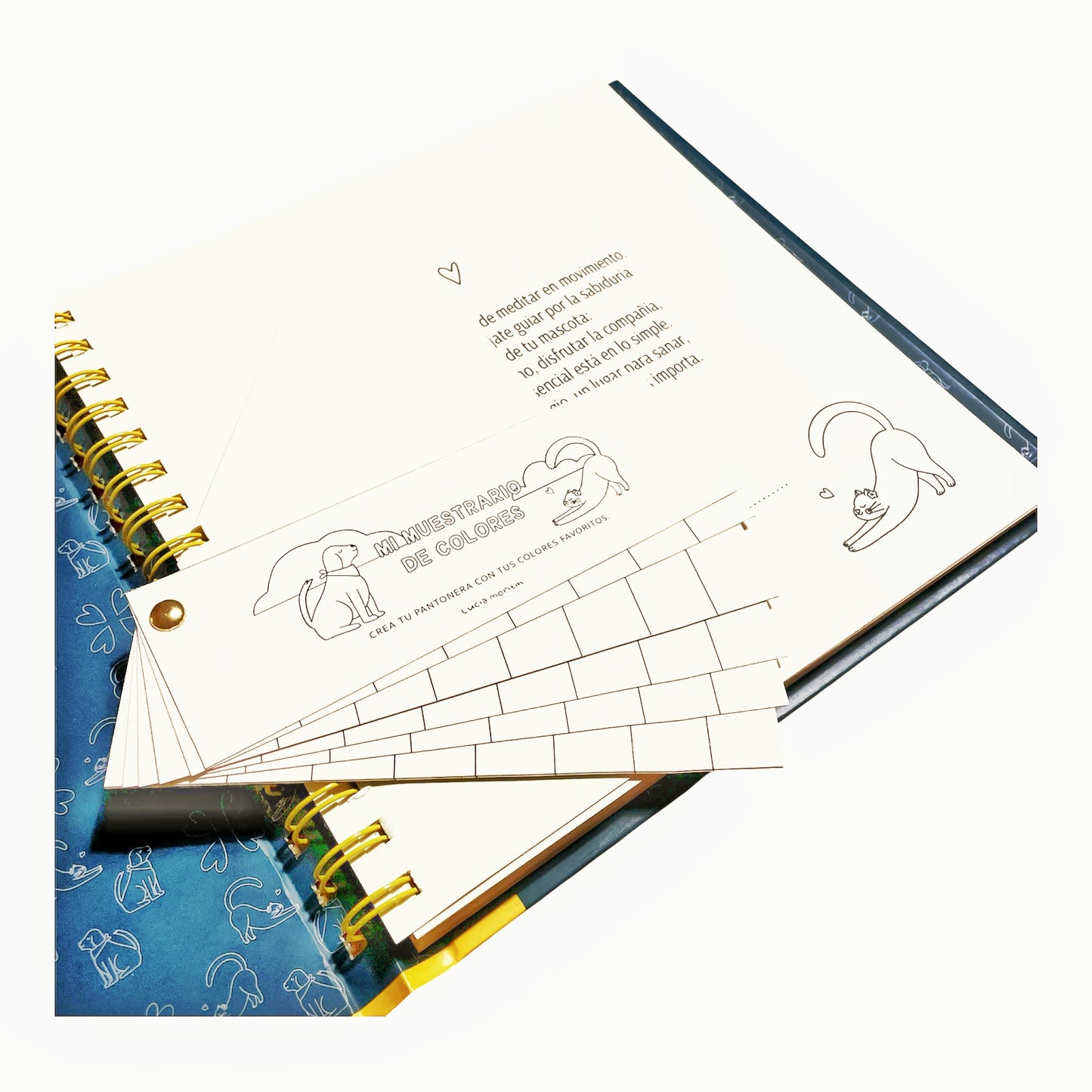 Mindful Friends – un viaje de calma con amigos de alma 🐾