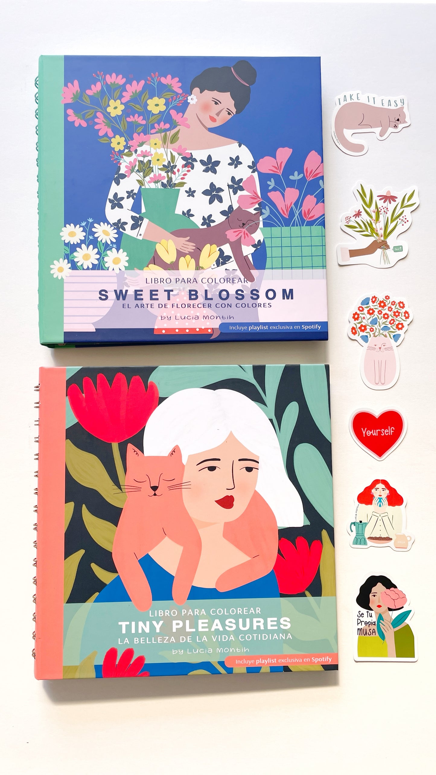 Pack Coloréame + 6 Stickers