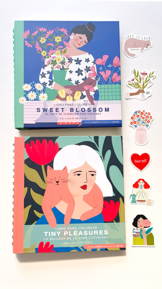 Pack Coloréame + 6 Stickers