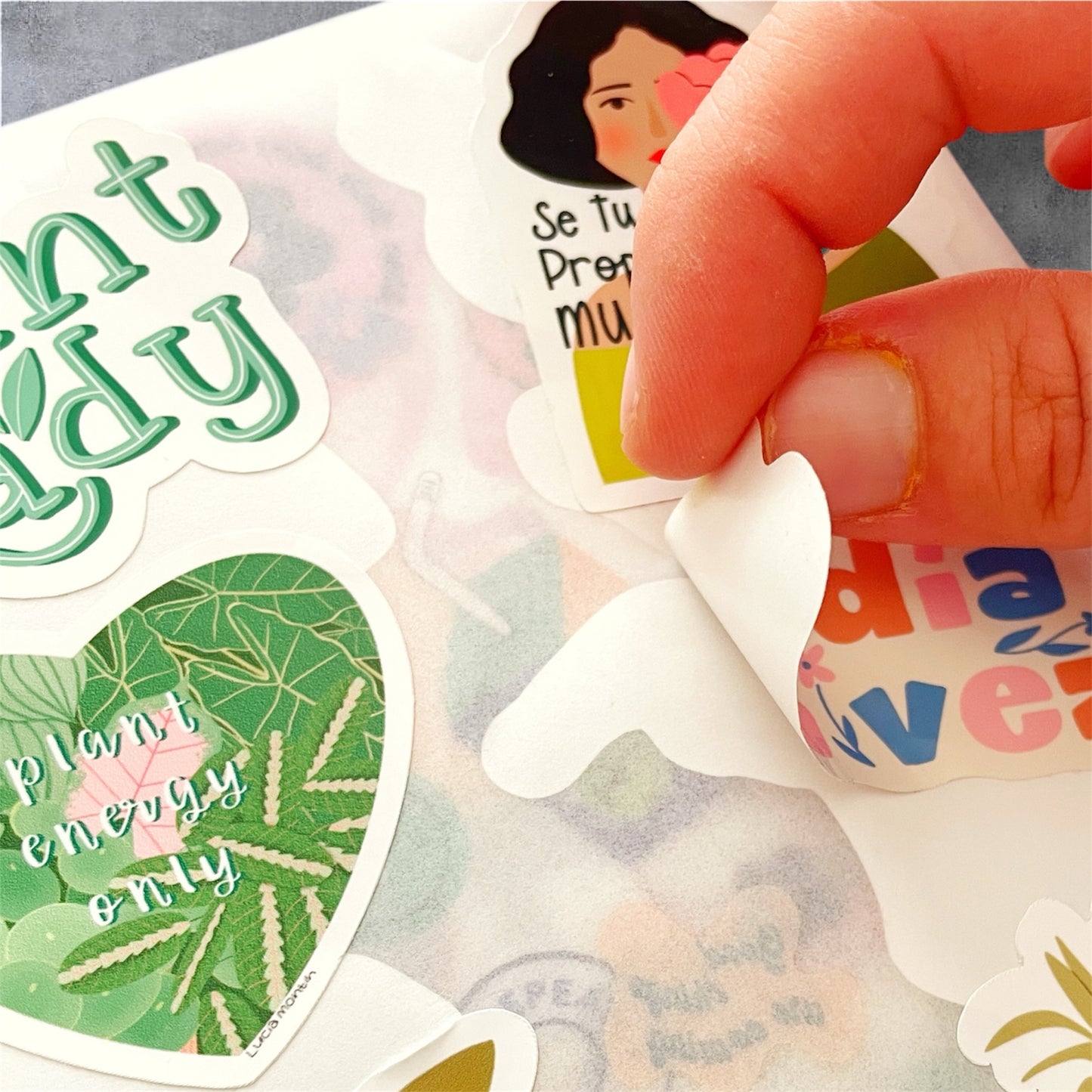 Album para coleccionar stickers