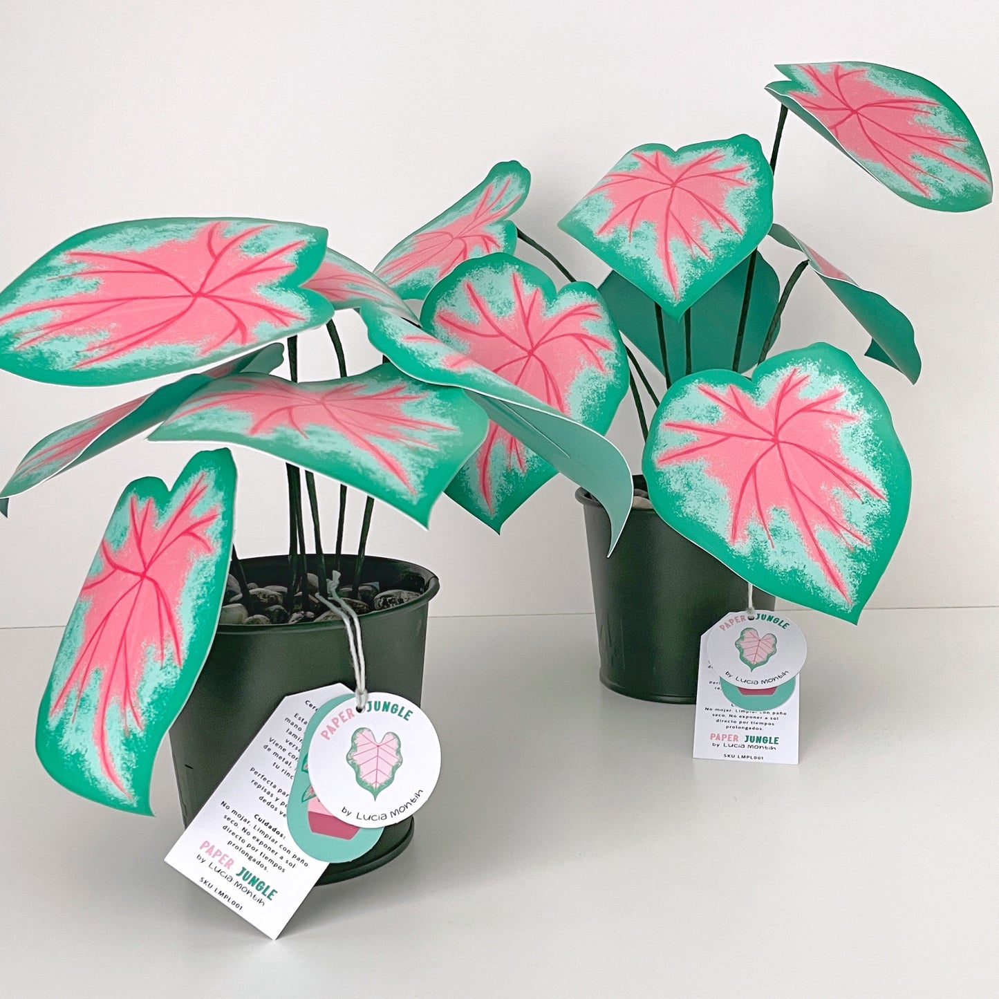 Paper Jungle - Caladium