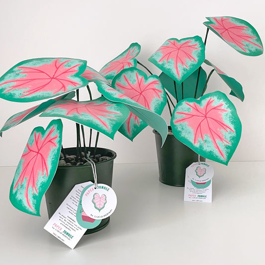 Paper Jungle - Caladium