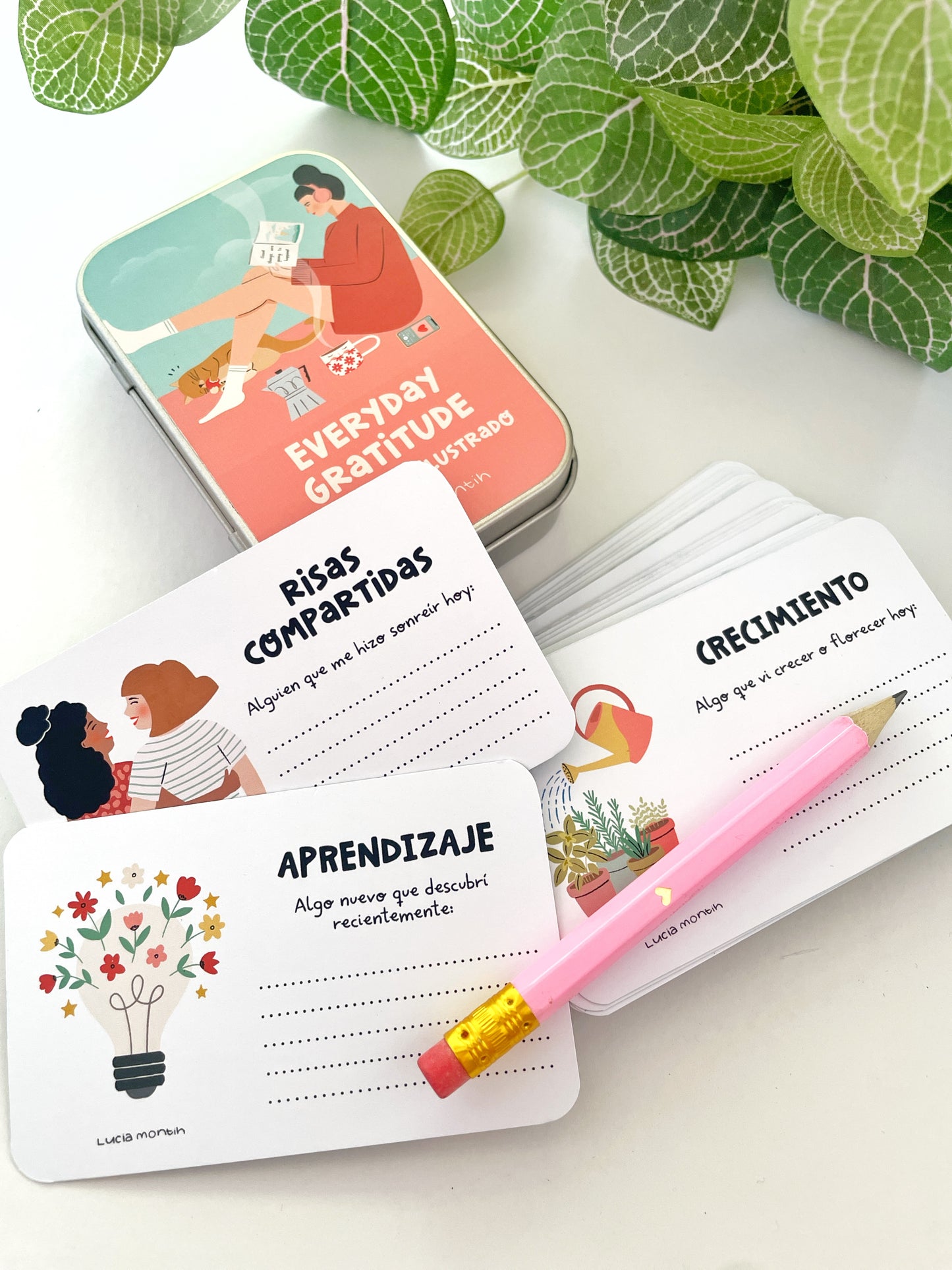 Everyday Gratitude - Un journal ilustrado de bolsillo