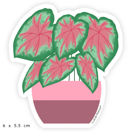 Sticker de Vinilo - Caladium
